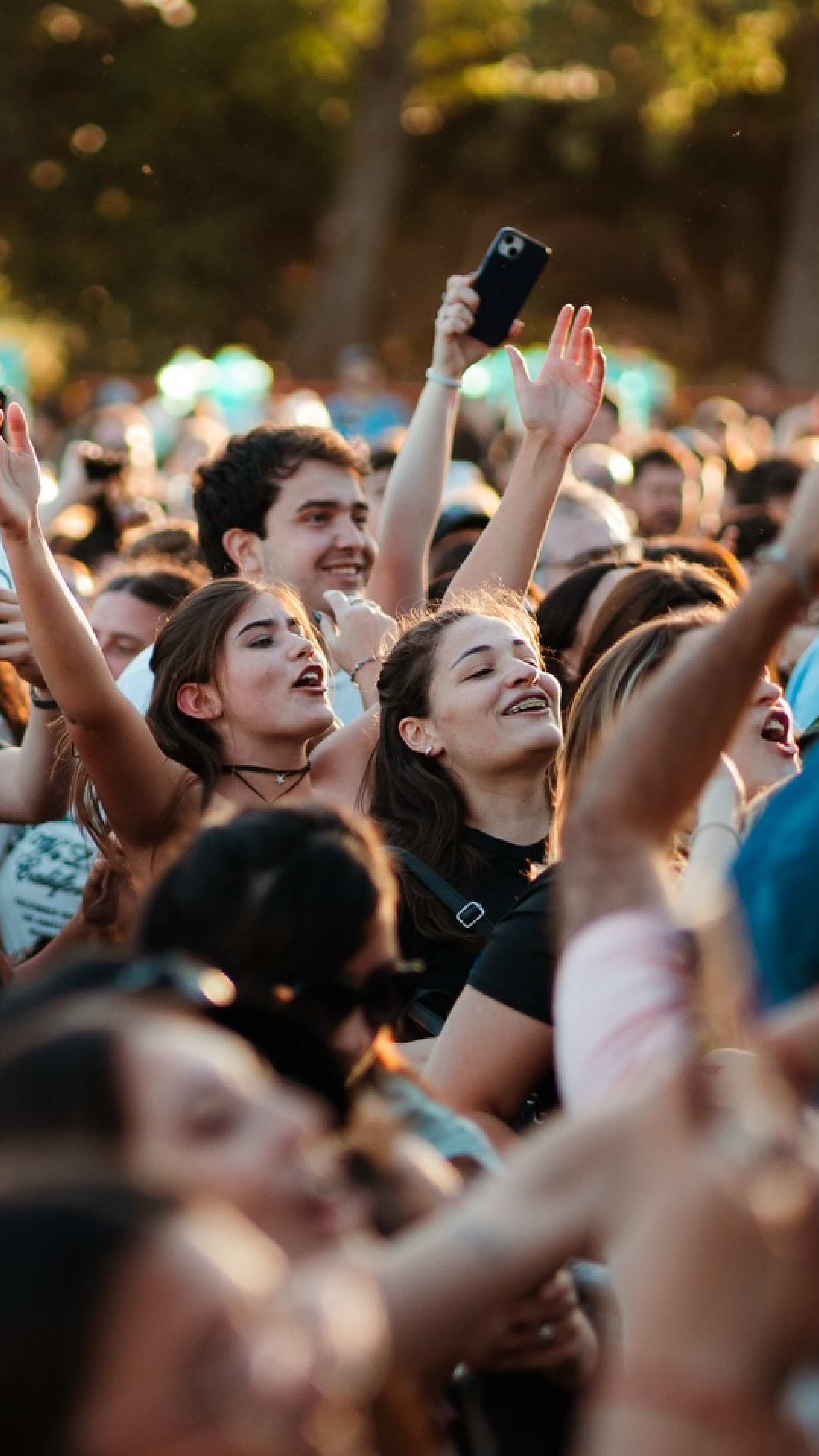 Festival Vuela